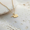 Gold Oklahoma necklace